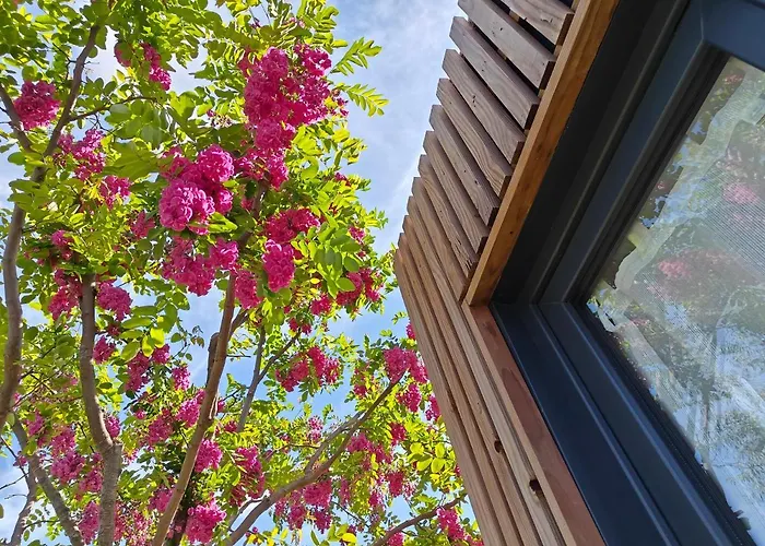 La Cabane De Lili Prune